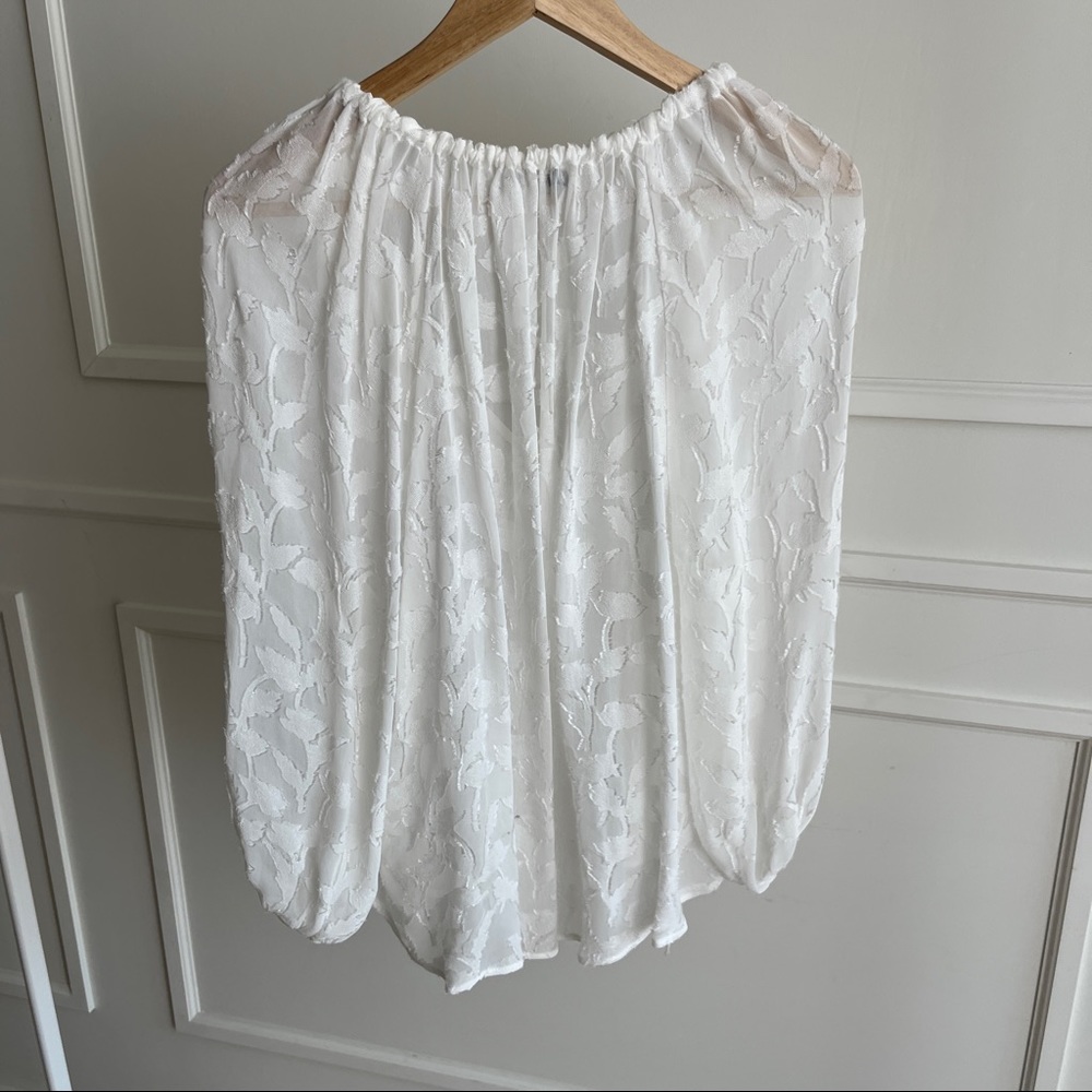 Sheer Blouse with Floral Applique - Picture 15 of 16
